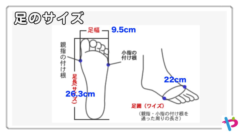 足のサイズ